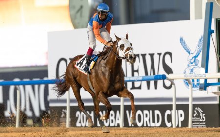Zenden и Антонио Фрезу выигрывают Dubai Golden Shaheen/автор: © Dubai Racing Club // Neville Hopwood