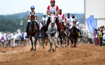 Соревнования по дистанционным конным пробегам на WEG/ фото: @ FEI/MARTIN DOKOUPIL