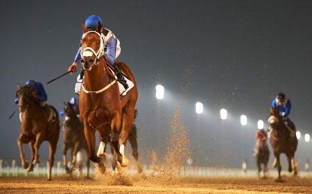 My Catch в Дубае/фото: @ Dubai Racing Club // Andrew Watkins