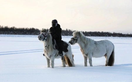 Никита Греци и якутские лошади. © Пресс-служба журнала “Россия PRO”